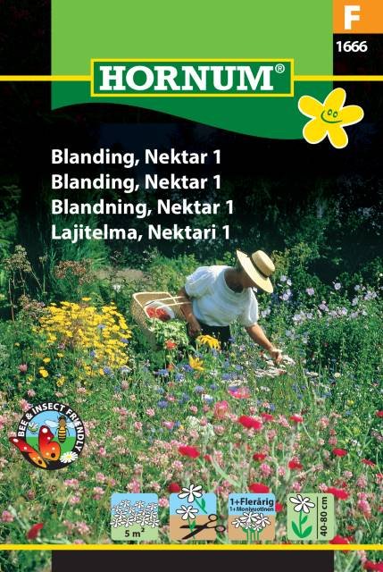 Blanding, Nektar 1 (F)