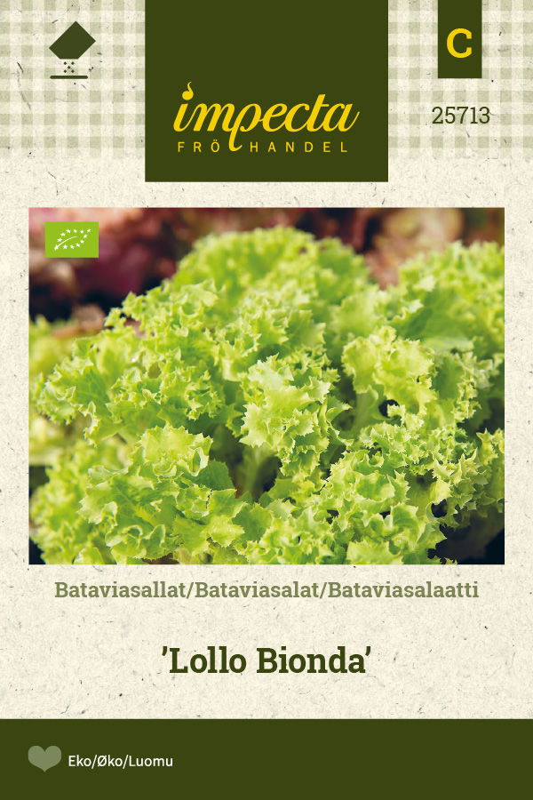 Frø Bataviasalat Lollo Bionda