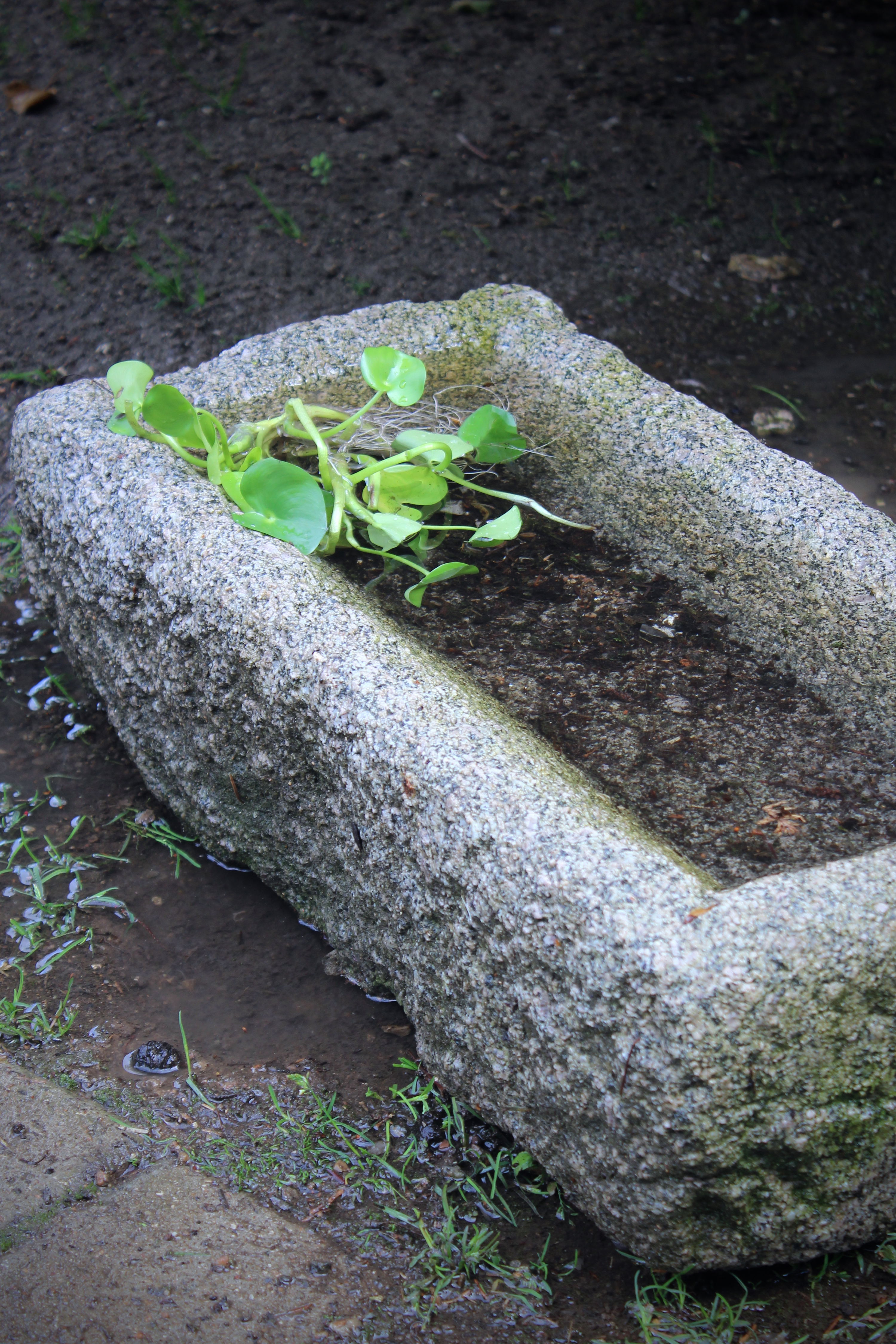 Antik fuglebad, granit nr.29