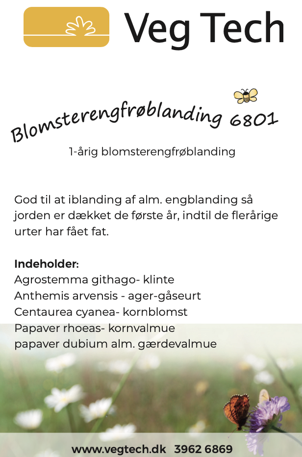 Engfrø 6801 - Blomsterengfrøblanding, 33g
