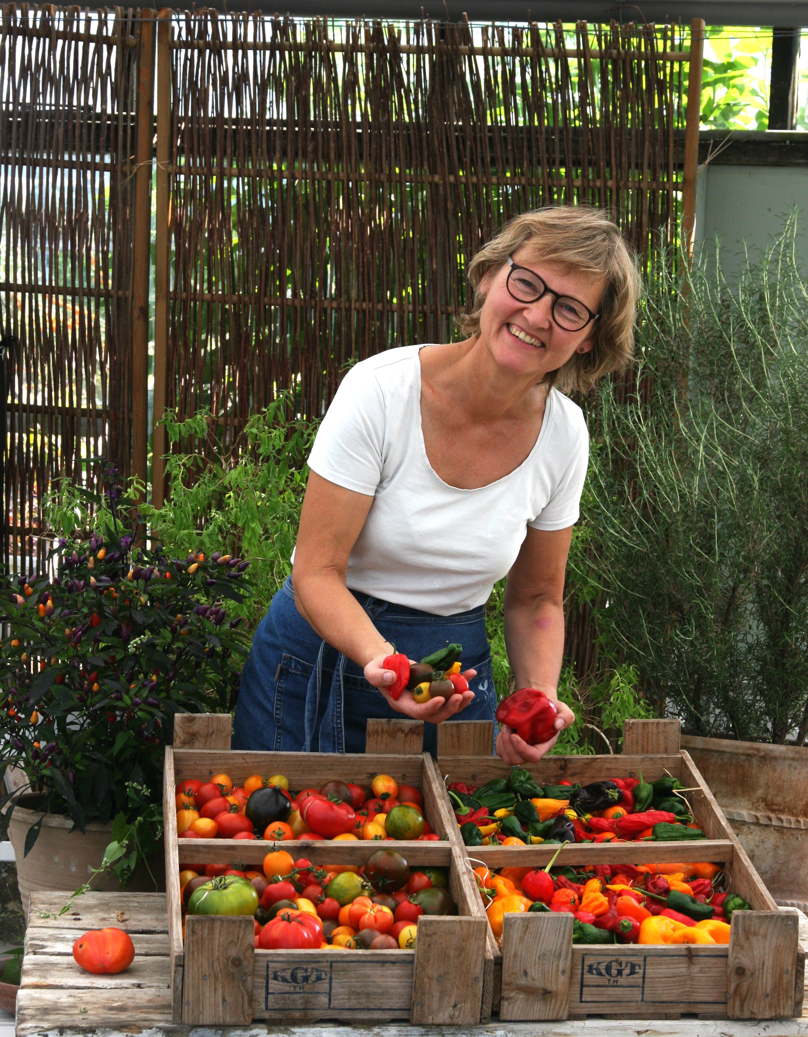 Tomatsmagning - Vi får besøg af Gartneri Toftegaard