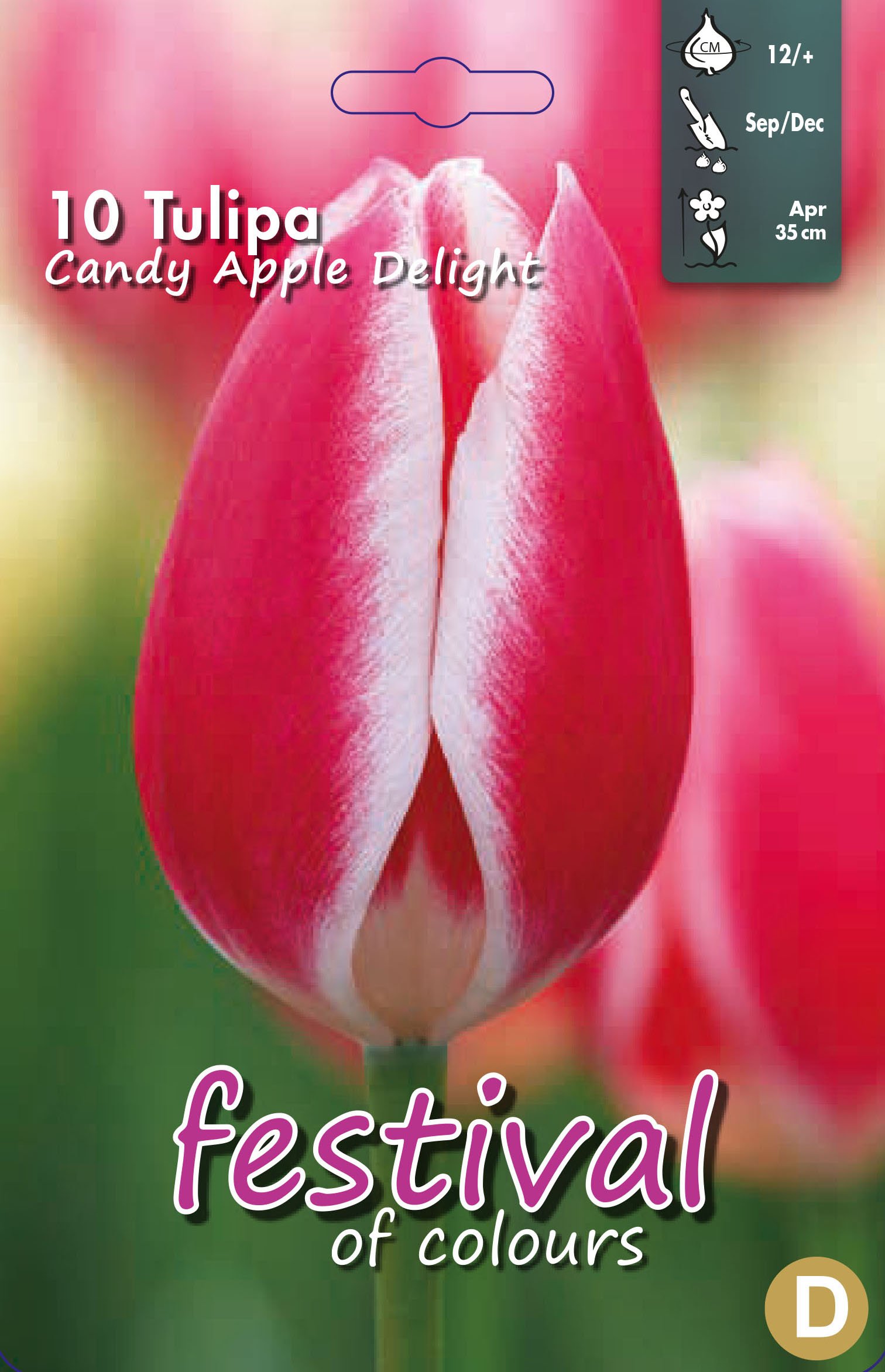 Tulipa Candy Apple Delight 10 stk