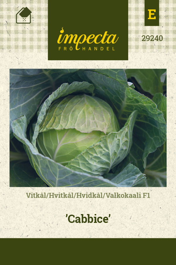 Frø Hvidkål F1 Cabbice