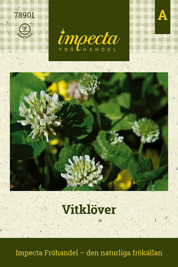 Frø Hvidkløver