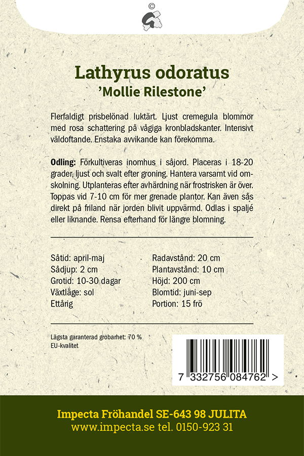 Frø Ærteblomst Mollie Rilestone