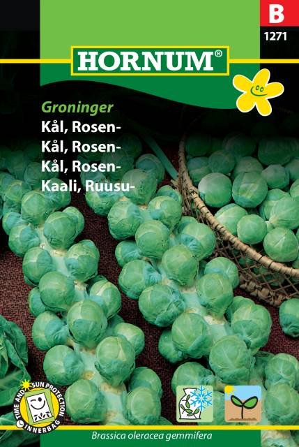 Kål, Rosen-, Groninger (B)