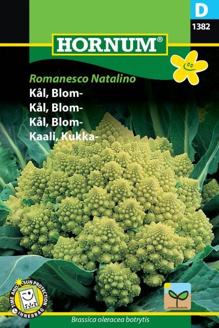 Kål, Blom-, Romanesco Natalino (D)