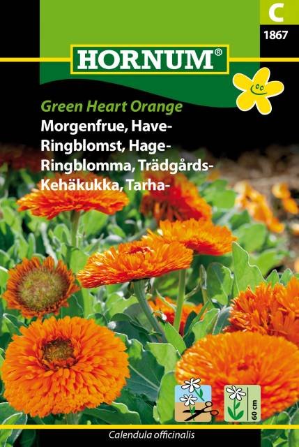 Morgenfrue, Have-, Green Heart Orange(C)
