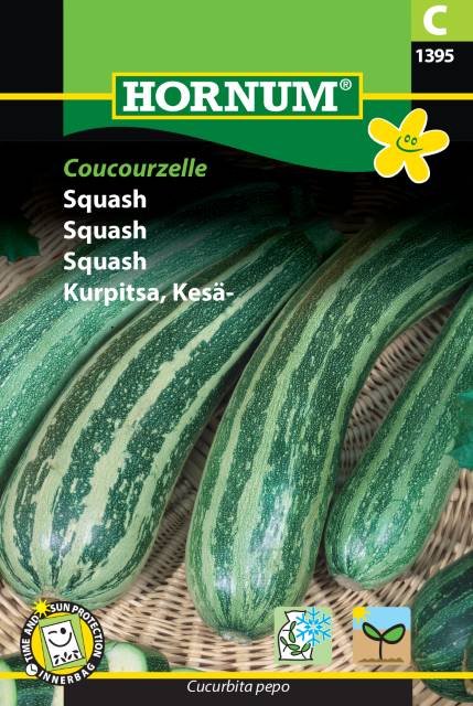 Squash, Coucourzelle (C)