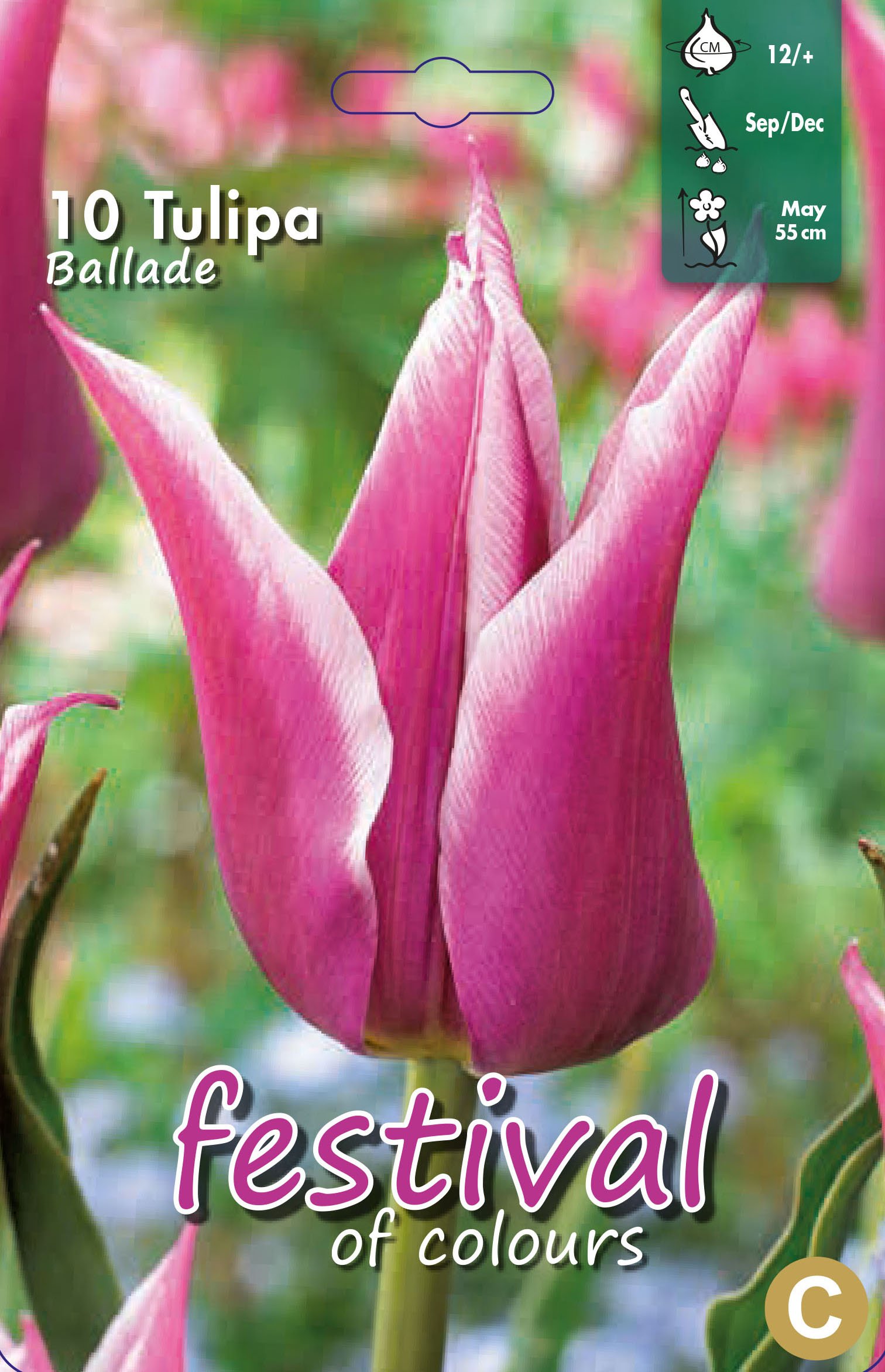 Tulipa Ballade 10 stk