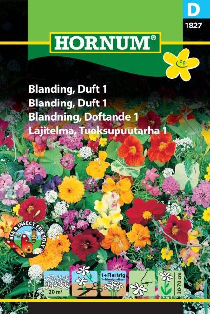 Blanding, Duft 1 (D)