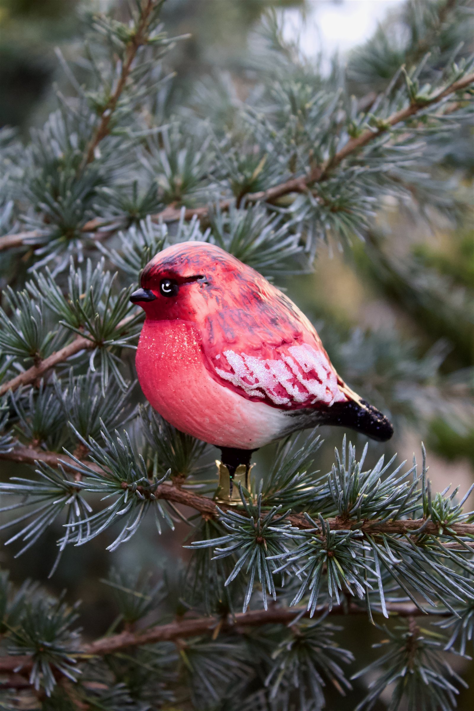 Julekugle: Rød fugl på klips