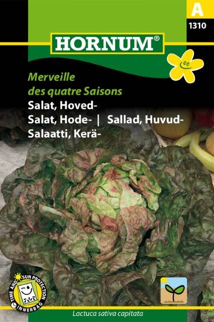 Salat, Hoved-, Merveille des q. S. (A)