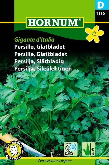 Persille, Glatbladet, Gigante d'Italia (D)
