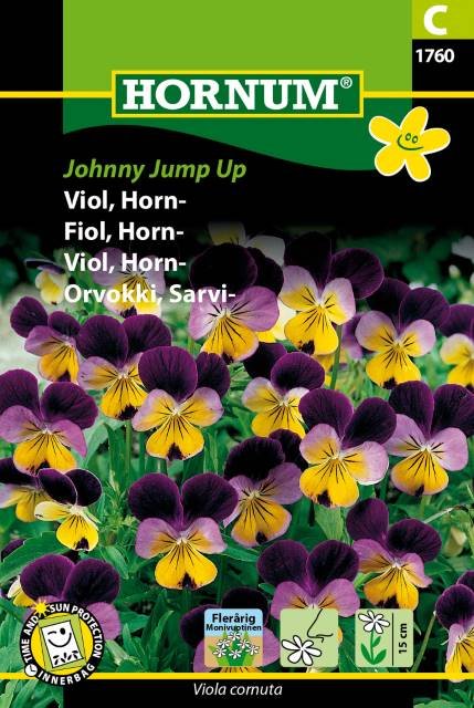 Viol, Horn-, Johnny Jump Up (C)