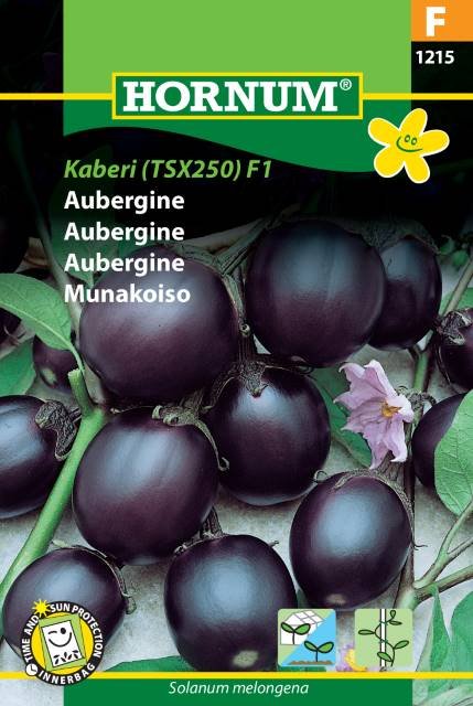 Aubergine, Kaberi (TSX 250) F1 (F)