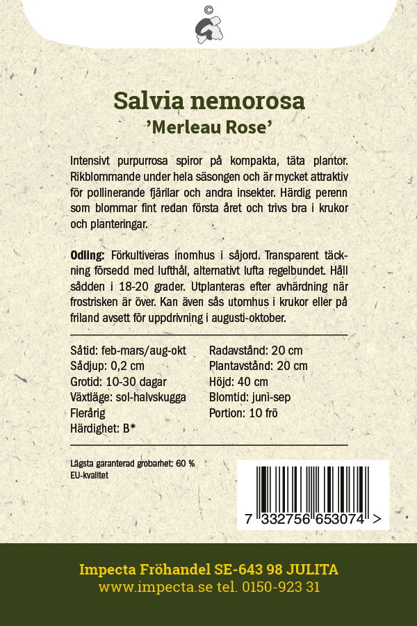 Frø Staudesalvie Merleau Rose