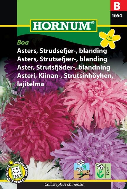 Asters, Strudsefjer-, blanding, Boa (B)