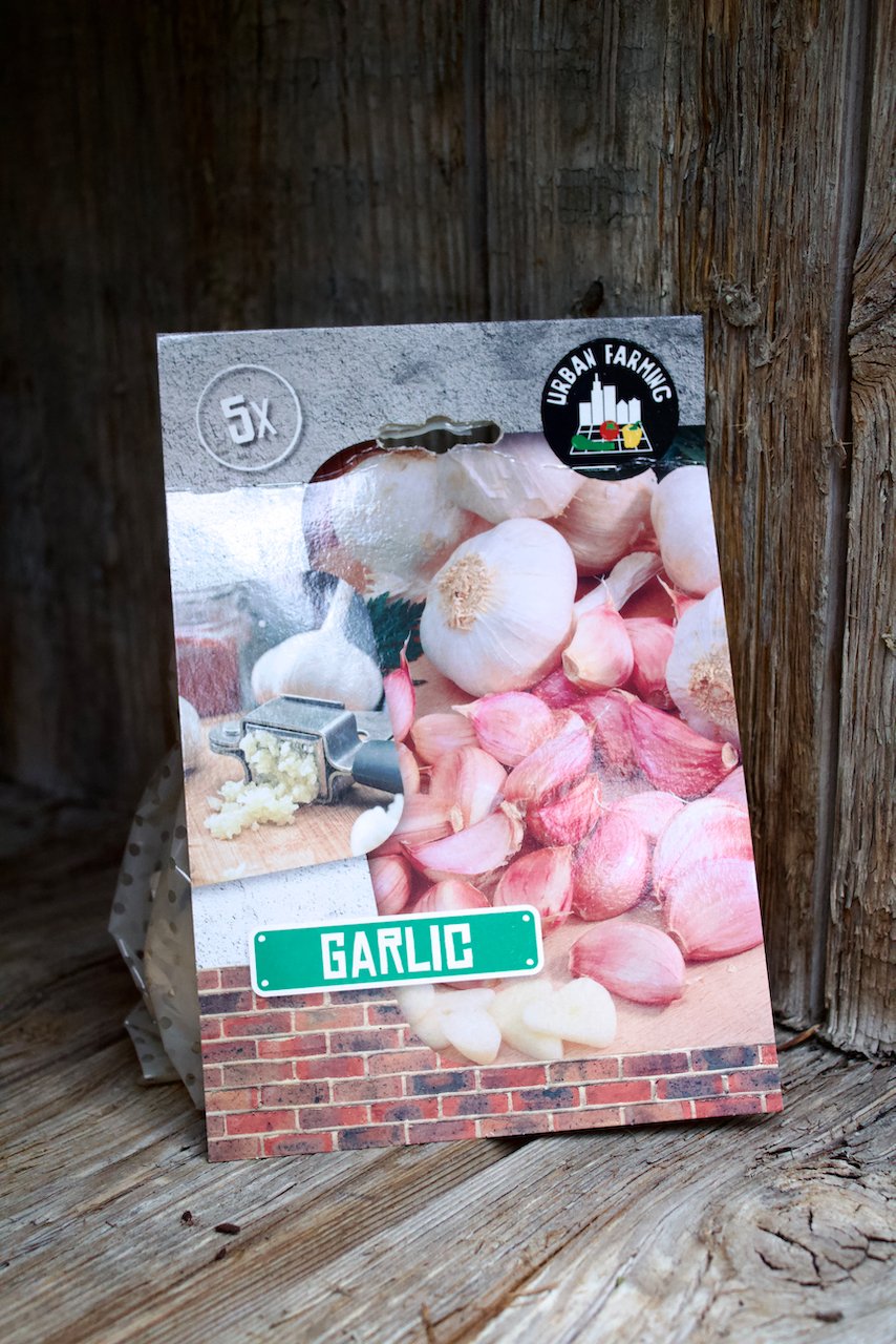 Sættehvidløg Garlic