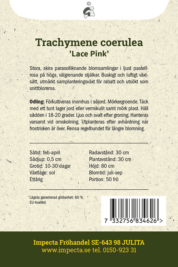 Frø Blå kniplingsblomst Lace Pink