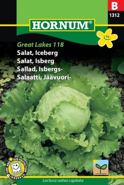 Salat, Iceberg, Great Lakes 118 (B)