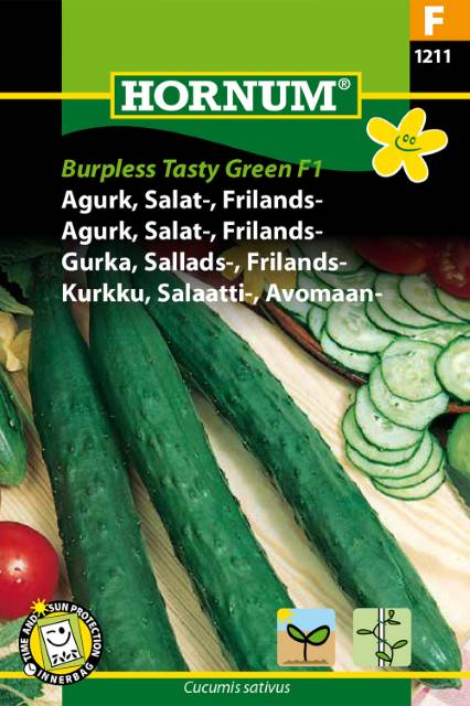 Agurk, Salat-, Frilands-, Burpless (F)