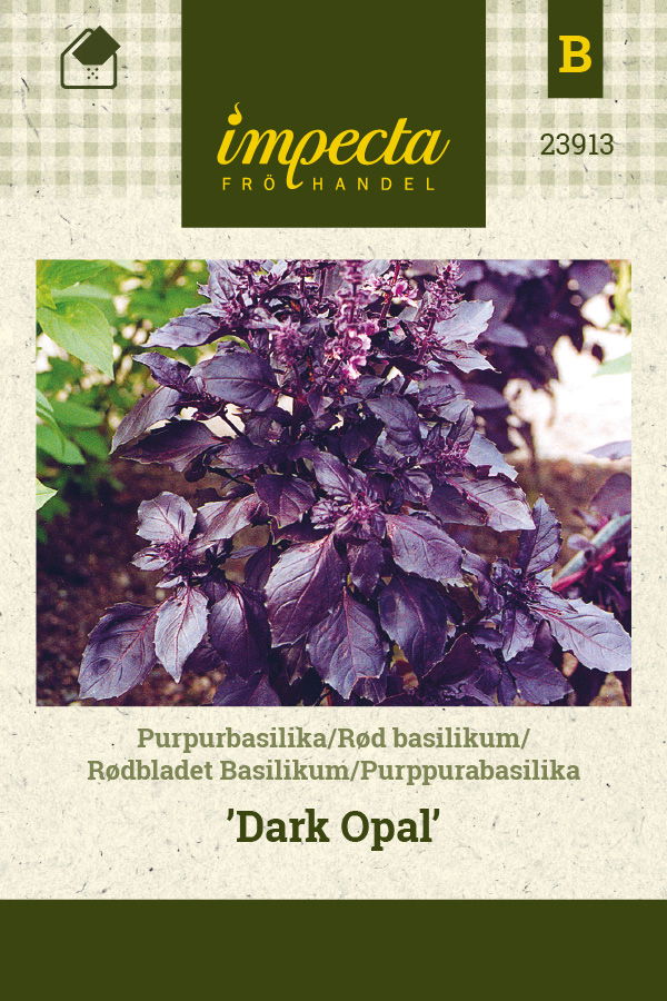 Frø Rødbladet Basilikum Dark Opal