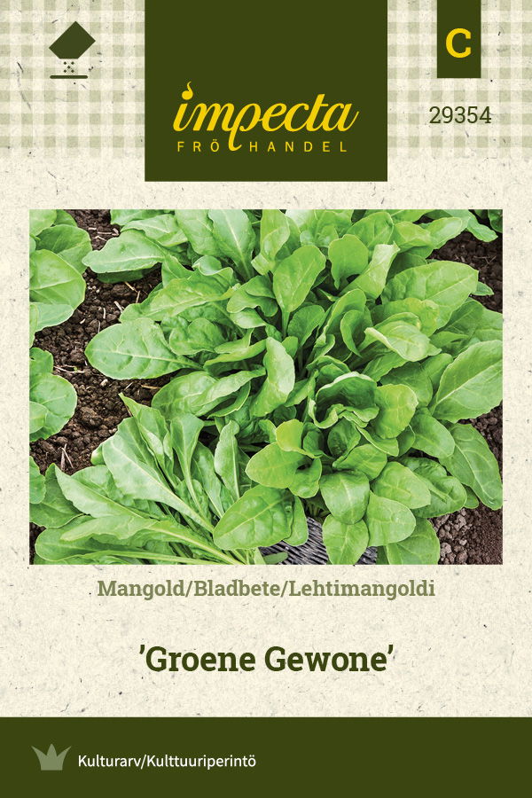 Frø Mangold Groene Gewone