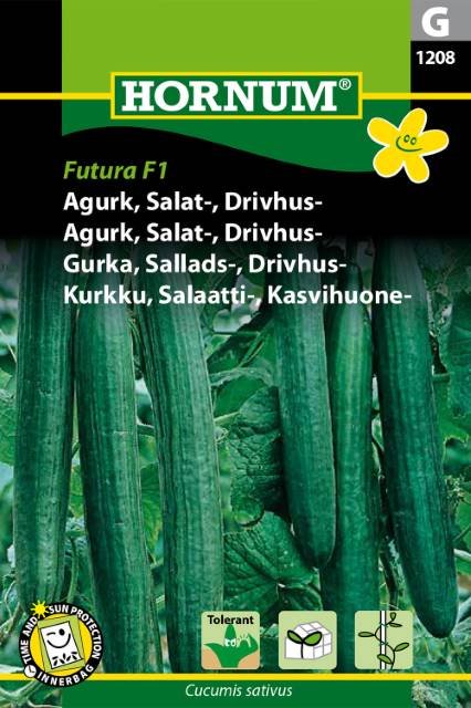 Agurk, Salat-, Drivhus-, Euphya F1 (G)
